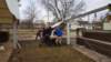 _140250_small.jpg
