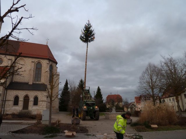 p1090526.jpg