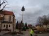 p1090526_small.jpg