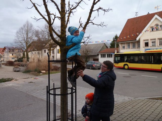 p1090528.jpg